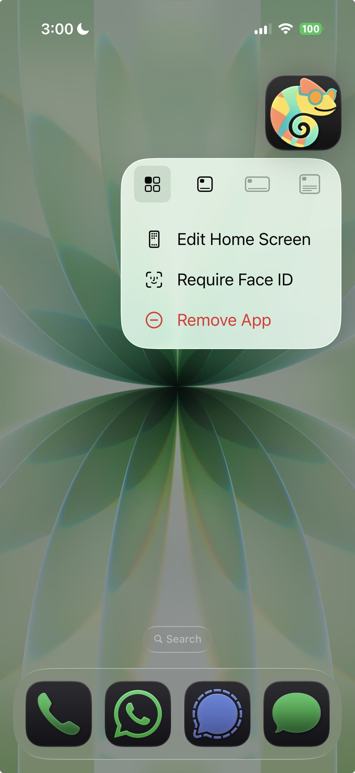 Select the widget size