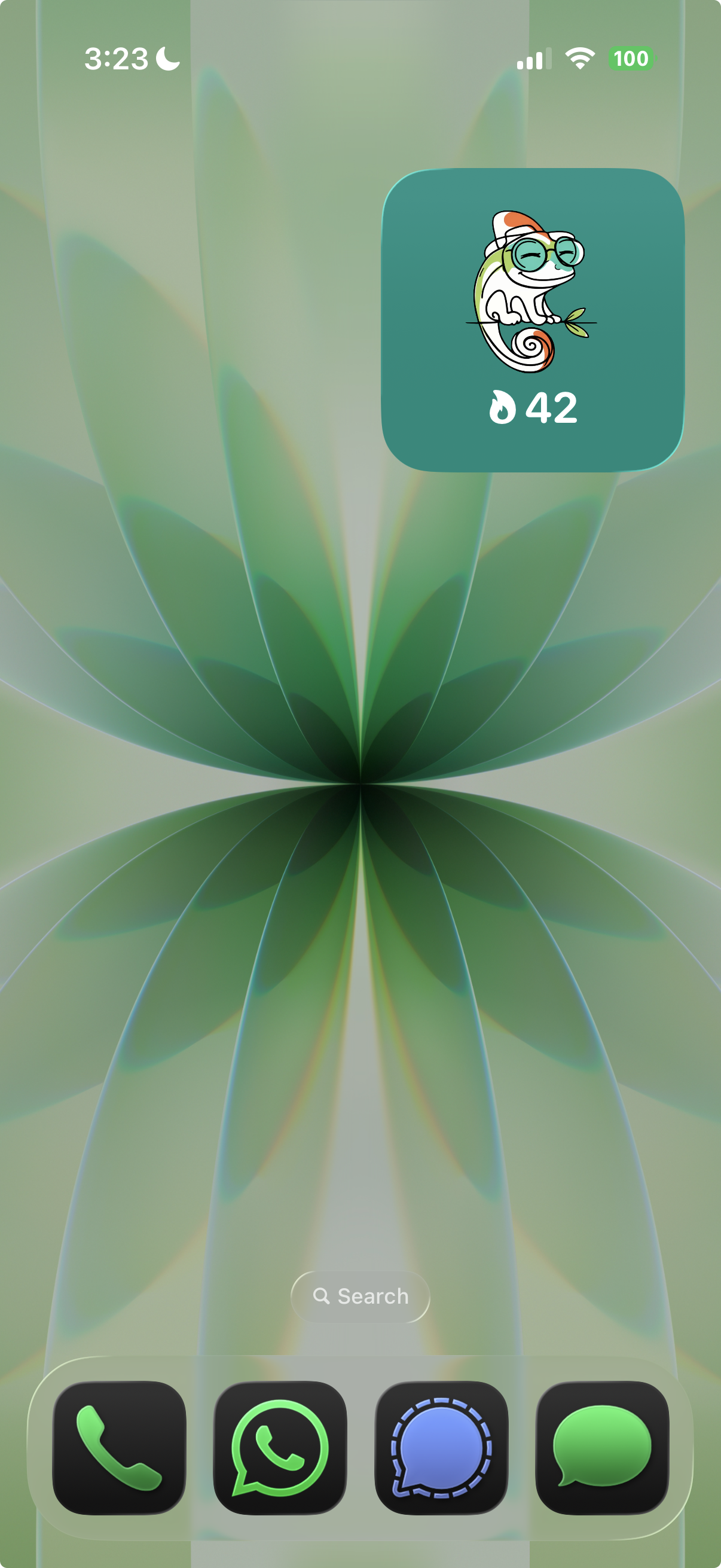 Home screen widget on your phone